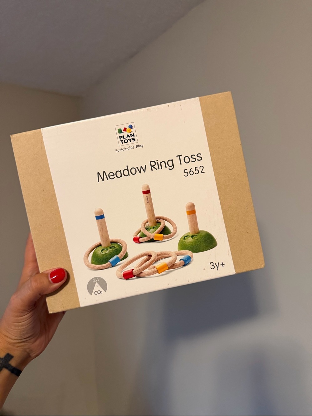 Meadow Ring Toss - Multicolor Wooden Ring Toss Game
